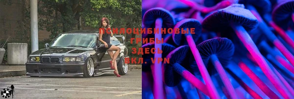 прущие крисы Абаза
