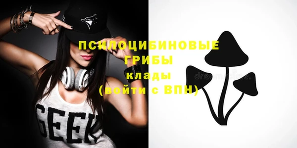 прущие крисы Абаза