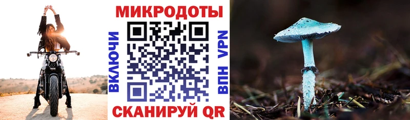 Псилоцибиновые грибы Cubensis  наркота  Алагир 